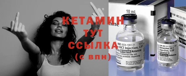 СК Алексин