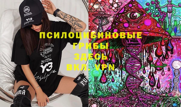 ешки Алексеевка