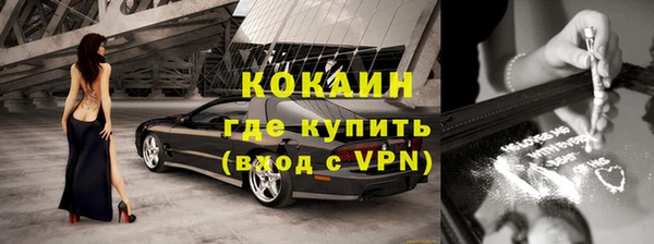 СК Алексин