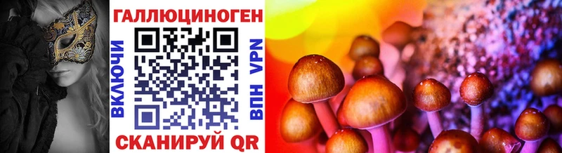 Псилоцибиновые грибы мухоморы  OMG   Петрозаводск 